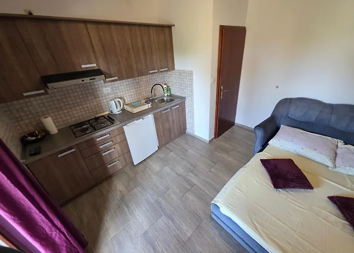 Tina Apartman Vir